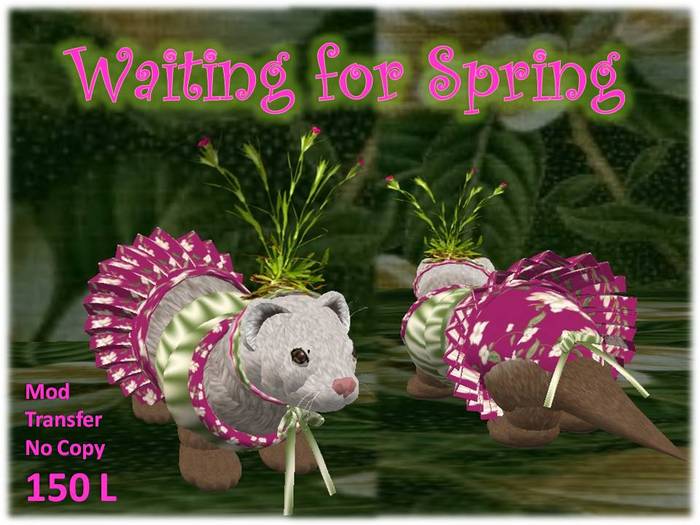 Tiny Spring Quad Boxed