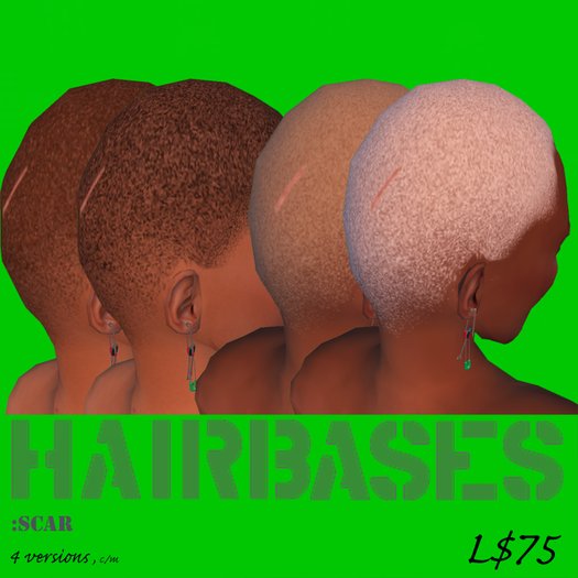 ChX-Hairbases:scar