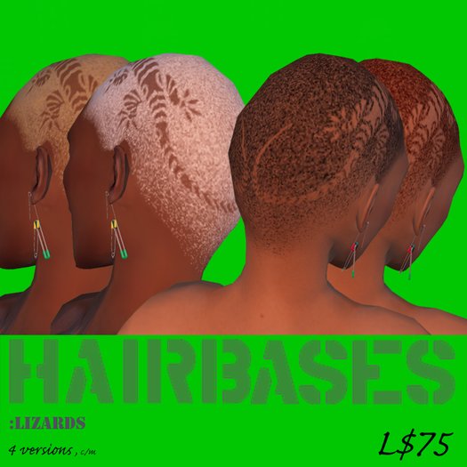 ChX-Hairbases:lizards