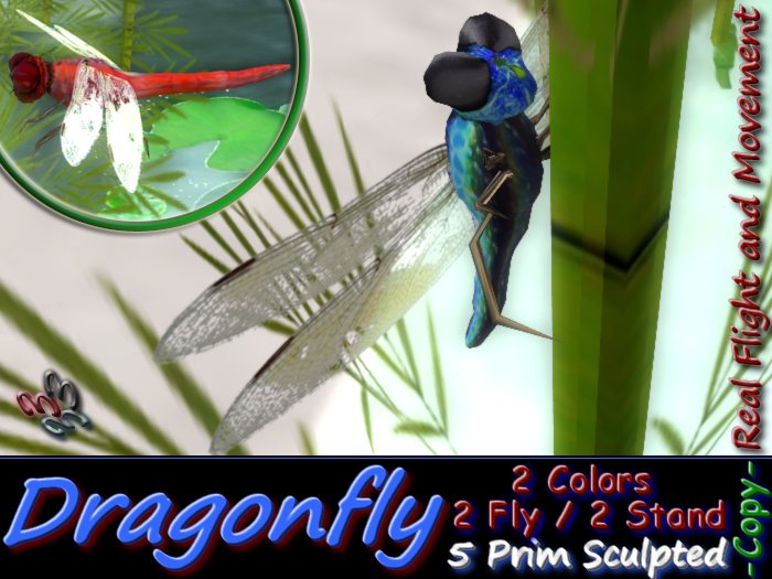 333 - DragonFly Sculpted Pack - (Real Fly and movements) Wearable