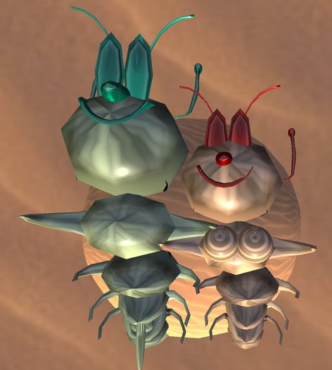 Mr & Mrs Bug at the beach 