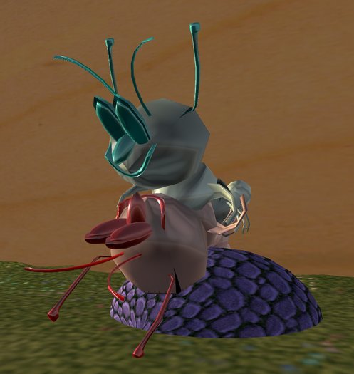 Mr & Mrs Bug (Laying pose) 