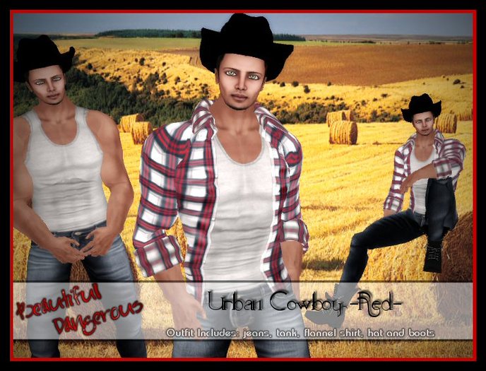 ! Beautiful Dangerous ! Urban Cowboy ~Red~