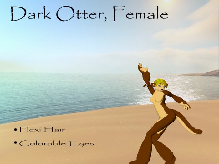 Female Dark Otter