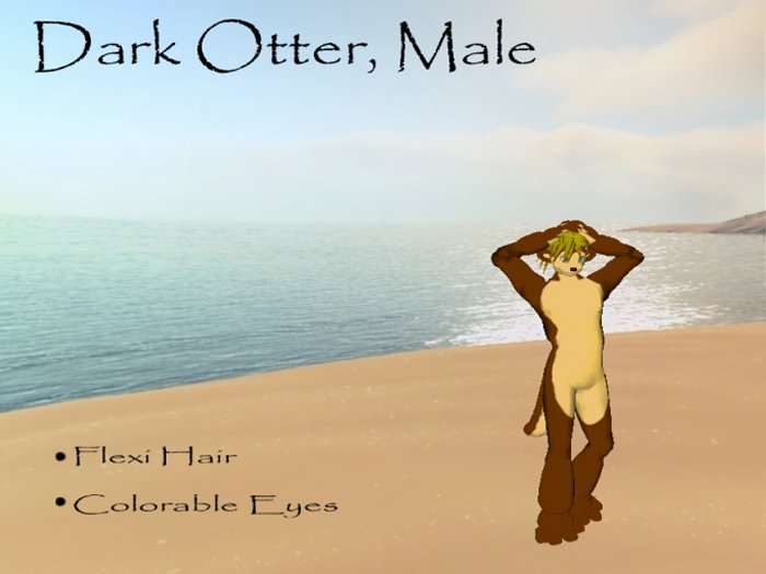 Male Dark Otter