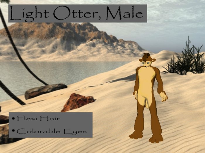 Male Light Otter