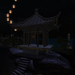 Launching%20the%20lanterns%20at%20night%20%5b580%5d