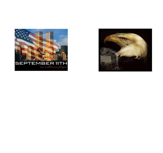 eagle/9-11 shirts