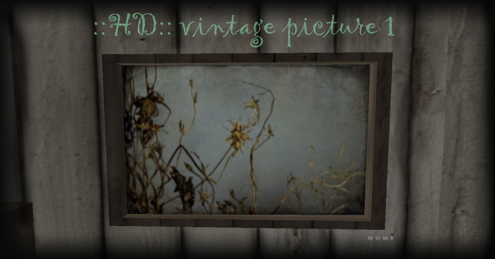 ::HD:: Antique Picture 1