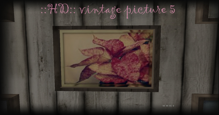 ::HD:: Antique Picture 5