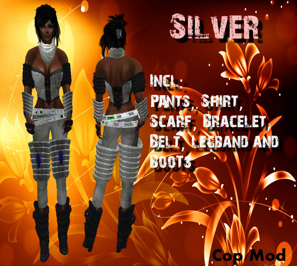Outfit Silver Verpackt