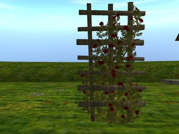 Rose on Trellis: Blood (One of my series of Vampire and Dark Arts Trees)