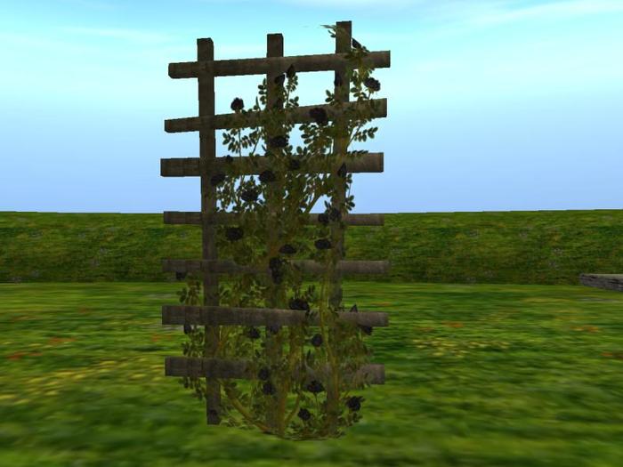 Rose on Trellis: Black (One of my series of Vampire and Dark Arts Trees)