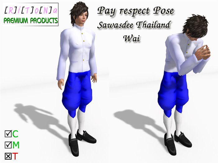 Pay respect Pose