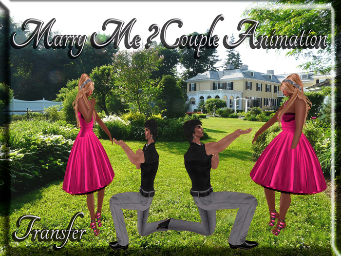 Lady Creations - Marry Me  Couple Animation
