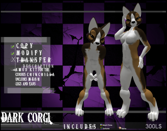 .BD. Dark Corgi