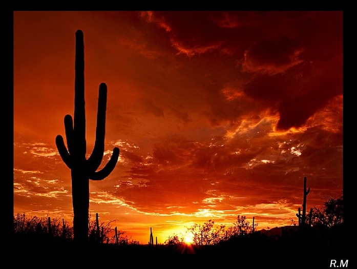 Arizona sunset