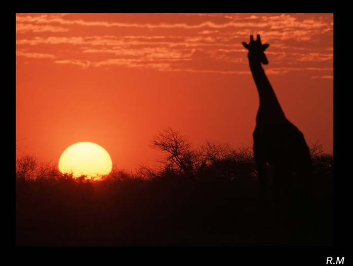African sunset