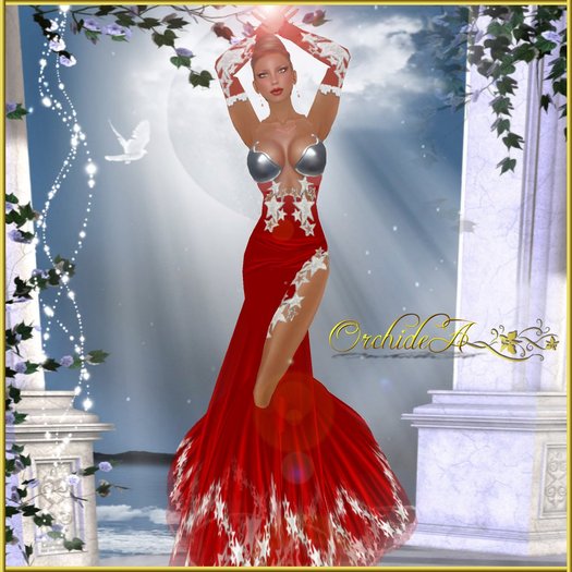 ** Orchidea**  star diam red
