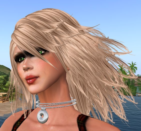 necklace with medicine weel