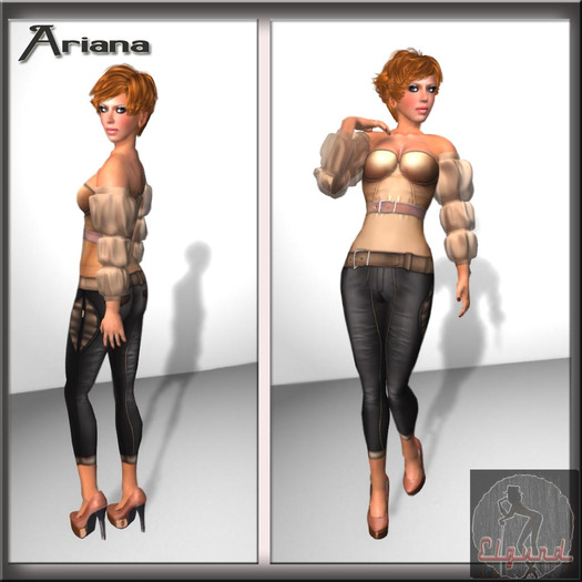 PE - Ariana - Vendor
