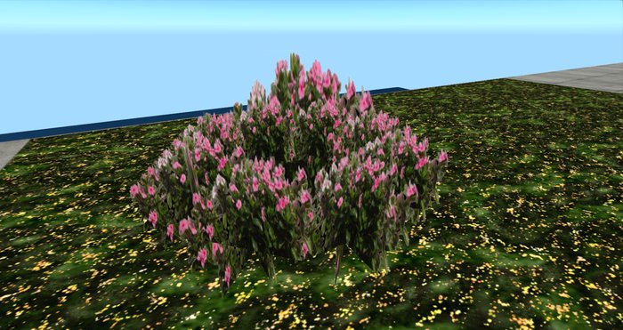 Pink Impatients Plant Group Copiable