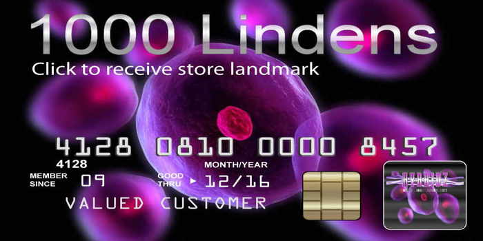 HybridZ 1000L$ Gift Box