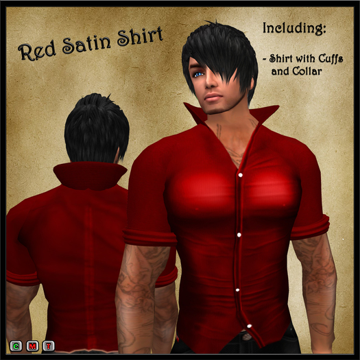 Red Satin Shirt