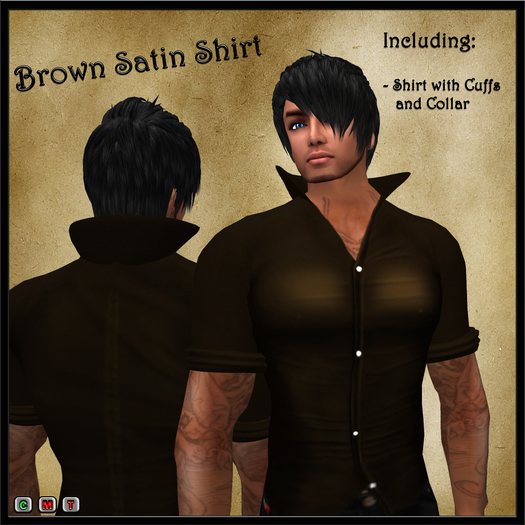 Brown Satin Shirt