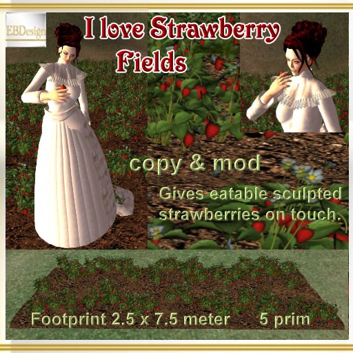 EBDesign - I love Strawberry Fields