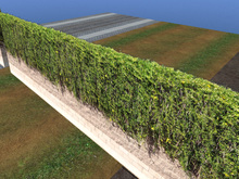 Ivy Overgrown Stone Wall, Hedge, Security Screen Fence Stone wall for landscaping, Stone wall with Vine overgrowth 5732