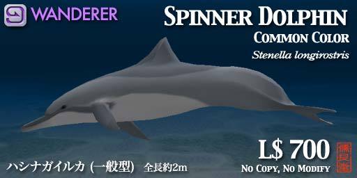 Spinner Dolphin 2 WANDERER