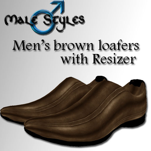 Men's brown loafers with resizer
