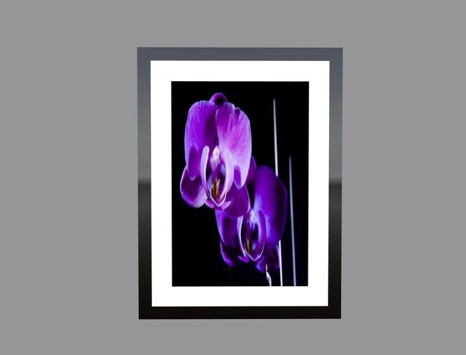Framed Picture * Purple Orchidee