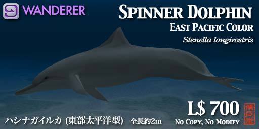 WANDERERシリーズ・ハシナガイルカ(東部太平洋型)