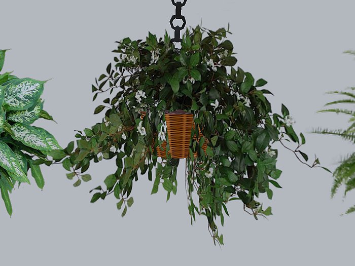 Sculpted Hanging Jasmine with Chain & Basket COPY/MOD 3 prim