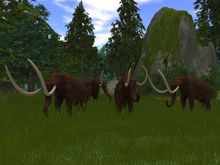 Bad Kitty Mammoths (V)