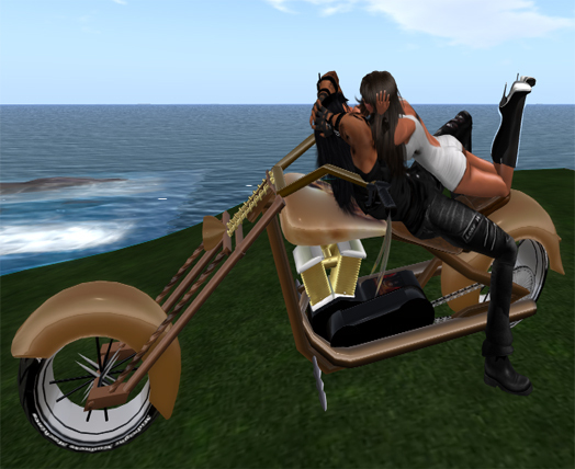 Native American Indian Bike ( Boxed )