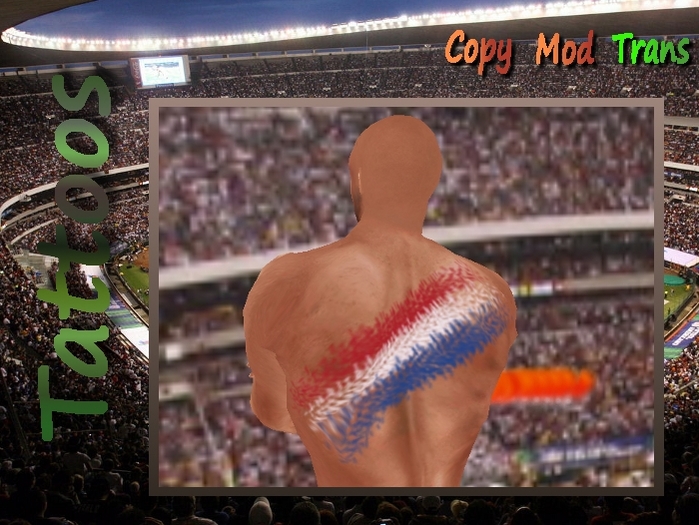 Tattoo netherlands -  back