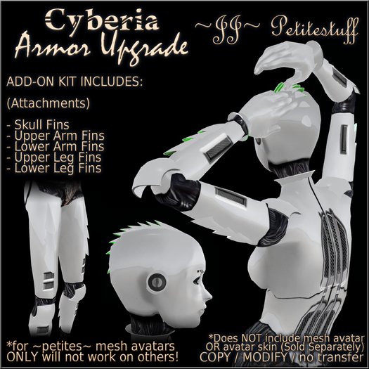 ~JJ~ Petitestuff Cyberia Armor Upgrade