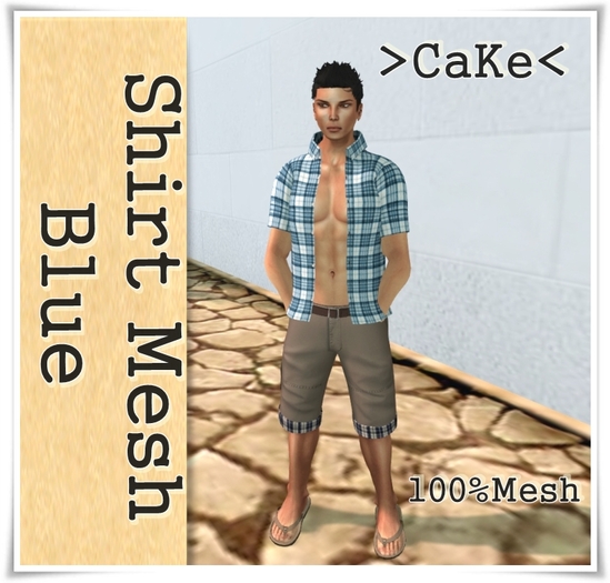 [[>CaKe!<]]Mesh_Men's -Shirth -blue
