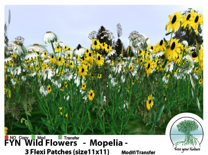Box FYN - Wild Flowers - Mopelia -
