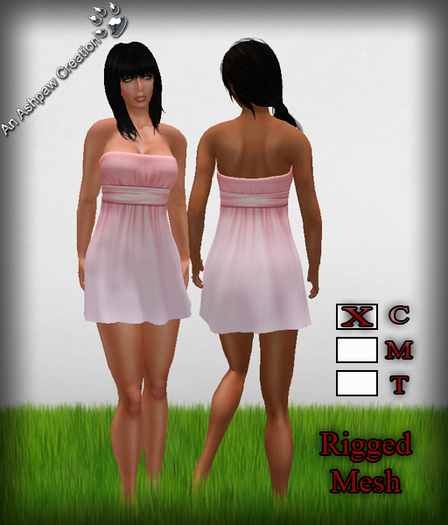 Sash Causual Mini Dress (Rigges Mesh) DEMO