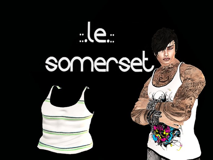 ::.LE.::Somerset -Listrada Blog  tank top (L)