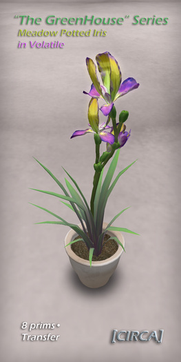 [CIRCA] - "The GreenHouse" Meadow Potted Iris - Volatile 