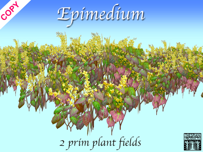 Spring meadow - Epimedium Field 3 sizes  - Thespian Products