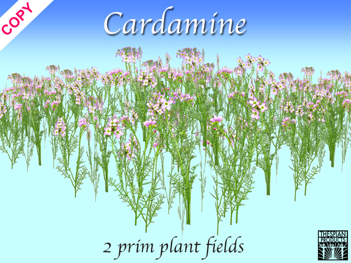 Spring meadow - Cardamine Field 3 sizes  - Thespian Products