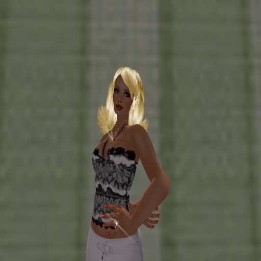Erika's Clothes Dantela