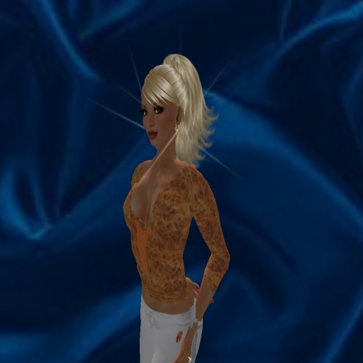 Erika"s Clothes Orange