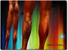 **Gekko Tribal**